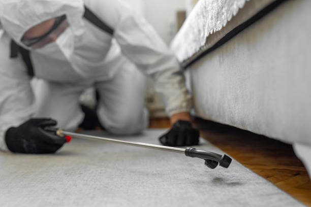 Professional Bed Bug Control technician working in Pomona Park, FL