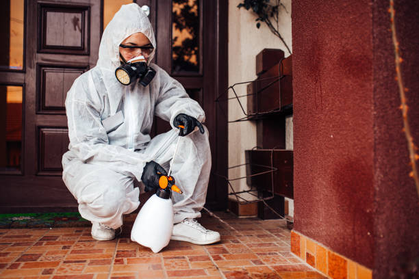 Reliable Bed Bug Control contractor in Pomona Park, FL by Nex Pest Control